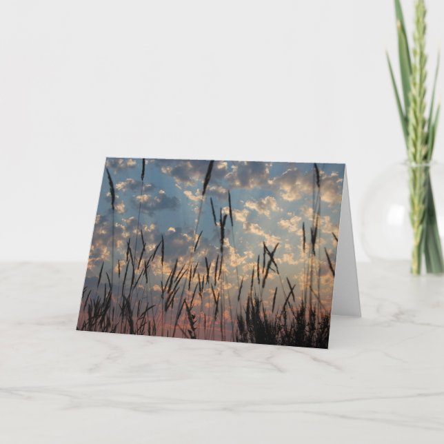 Tomt kort - Vancouver ösolnedgång (Framsida)