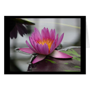 Tomt Lotus Card (lodrät) Hälsningskort