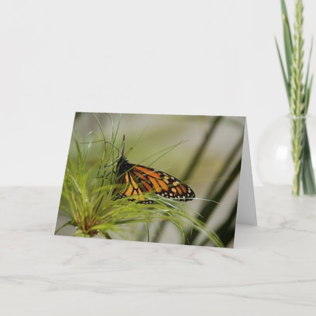 Tomt monarch Butterfly-kort Kort (Framsida)