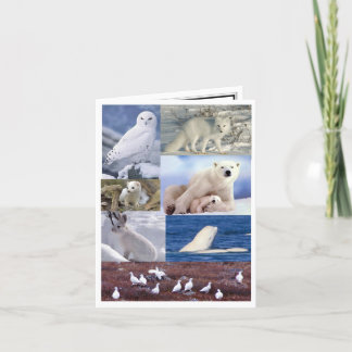 Tomt notera kortet kort