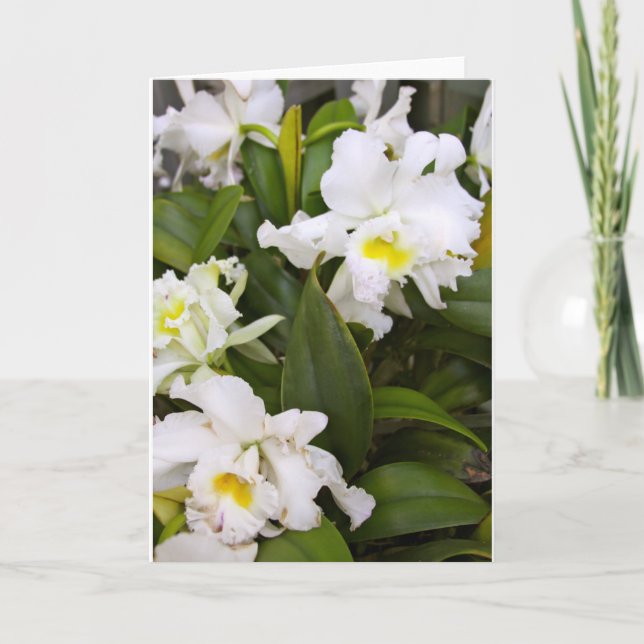 Tomt notera kortet tack kort (Framsida)