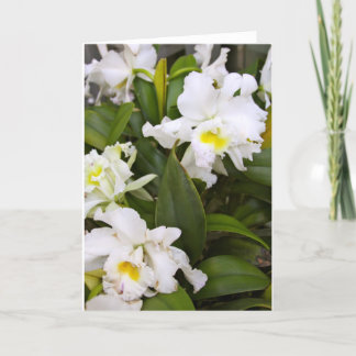 Tomt notera kortet tack kort