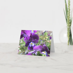 Tomt notera kortet--Violets Kort