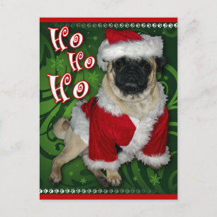Tomt Pug-vykort Helg Vykort