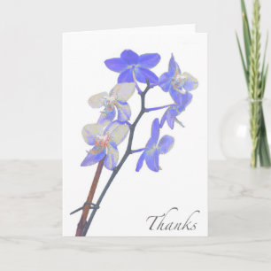 Tomt purpurfärgat Orchidtackkort Tack Kort