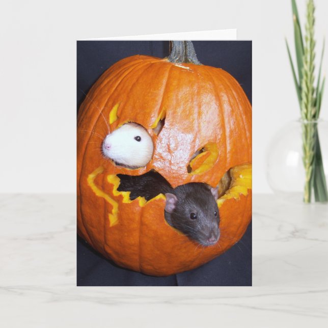 Tomt Rattie Halloween-kort Kort (Framsida)