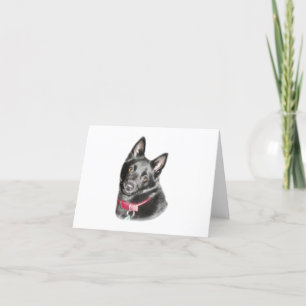 Tomt Schipperke Bild-kort Kort