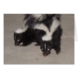 Tomt Skunk-kort/Dikt på baksidan Hälsningskort