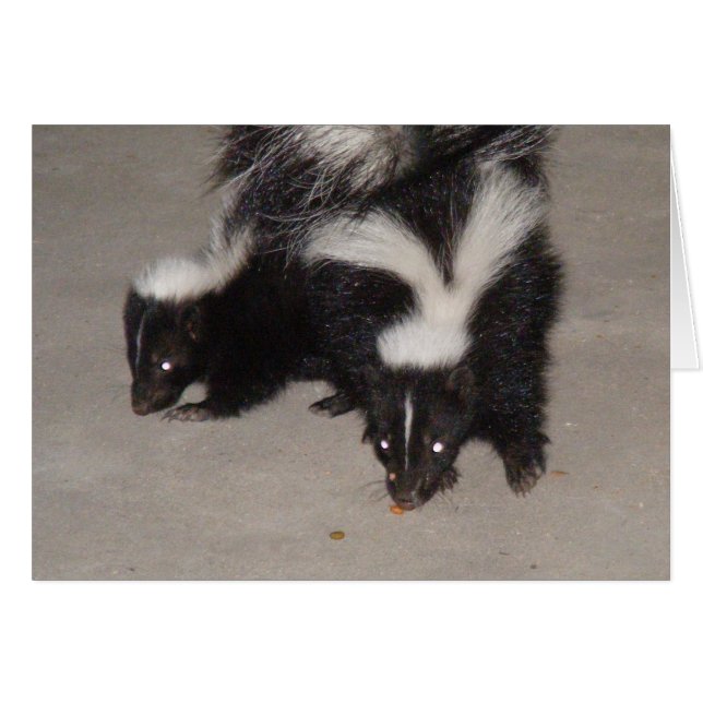 Tomt Skunk-kort/Dikt på baksidan Hälsningskort (Framsidan Horizontal)