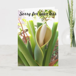 Tomt symbolkort med Philodendron-bloom Kort