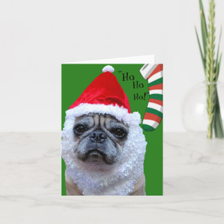 Tomt-Tassar Funny Pug-julkort/Helgdag-kort Helgkort