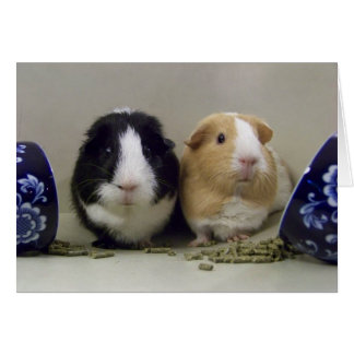 Tomt tea-time-kort hälsningskort