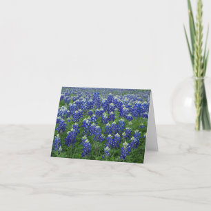 Tomt Texas Bluebonnetsfoto Kort
