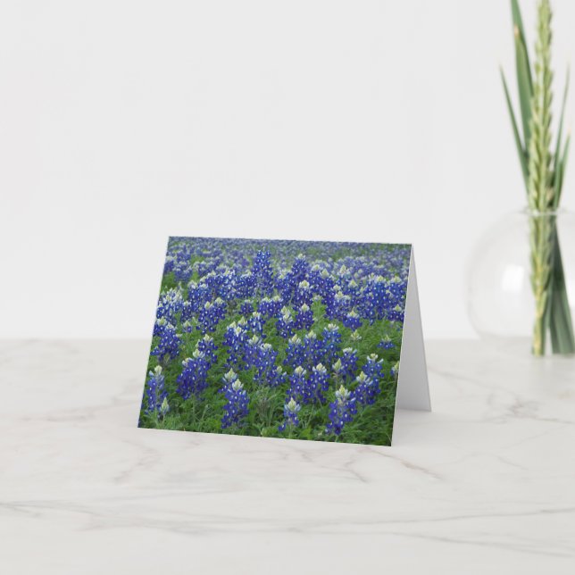 Tomt Texas Bluebonnetsfoto Kort (Framsida)