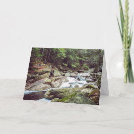 Tomt vermontkort kort