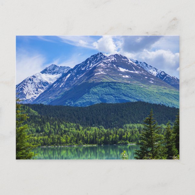 Tomt vykort (Framsida)