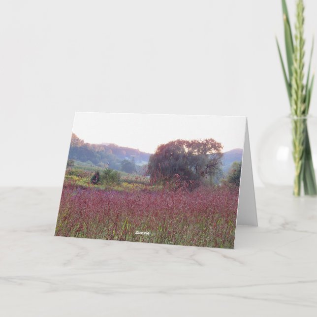 Tomt Willow Träd-kort Tack Kort (Baksida)