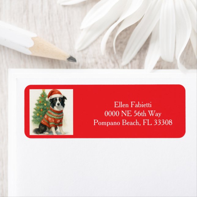 Tomte Border Collie Jul Returadress Etikett (Insitu)
