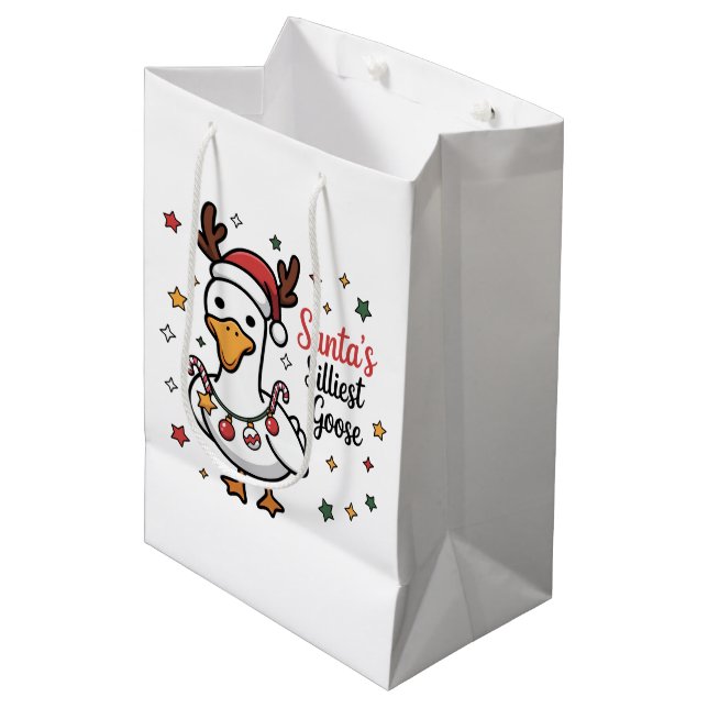 Tomte Dumma Gås Jul Anka Rolig Söt  (Framsidan Vinklad)