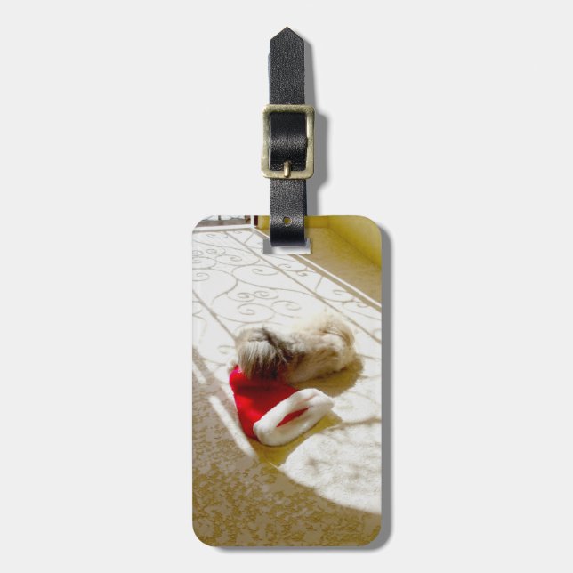 Tomte fångad bagagebricka (Vertikal Framsida)