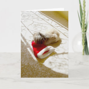 Tomte fångad helgkort