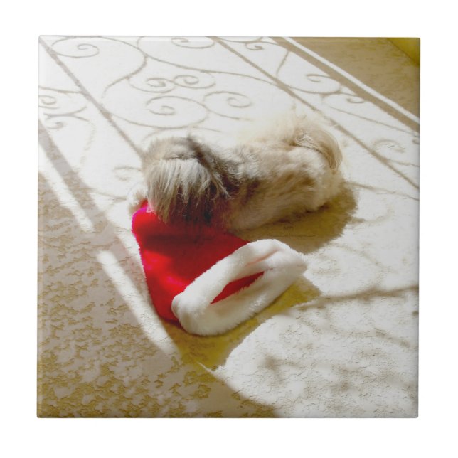 Tomte fångad kakelplatta (Framsidan)