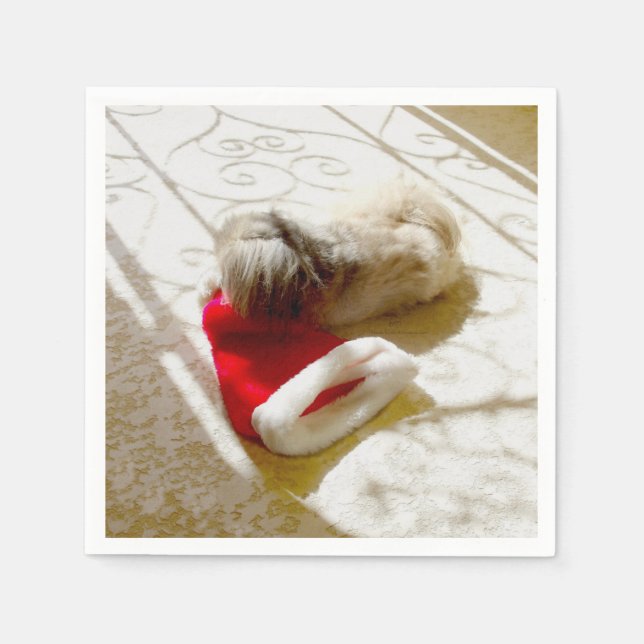 Tomte fångad pappersservett (Framsidan)
