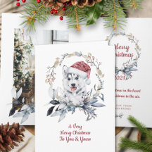 Tomte Hatt Husky Anpassad Julfotografi
