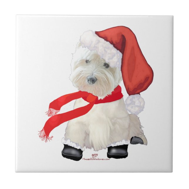 Tomte i skor kakelplatta (Framsidan)