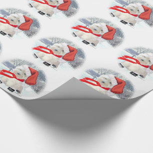 Tomte i skor presentpapper