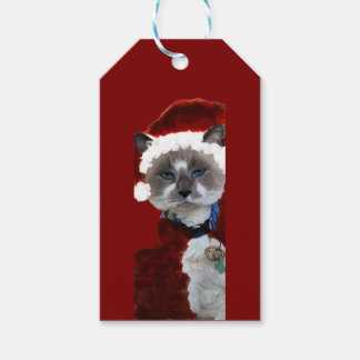 Tomte Katt Klor Jul Maureen Girard Blå Öga Presentetikett