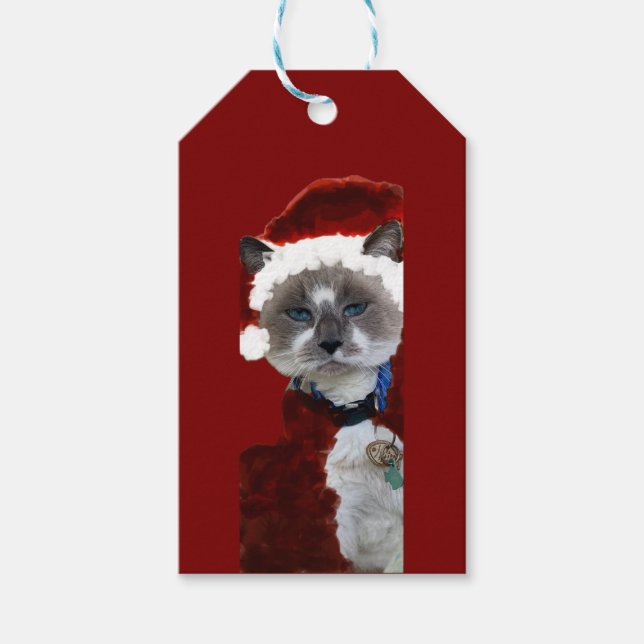 Tomte Katt Klor Jul Maureen Girard Blå Öga  Presentetikett (Framsidan)