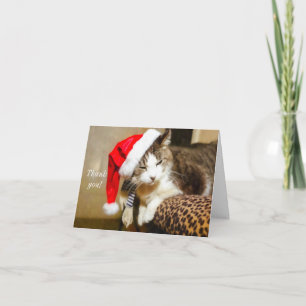 Tomte Katt Målar tackkort Helgkort