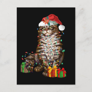 Tomte kattälskare rolig jul kattunge jul vykort