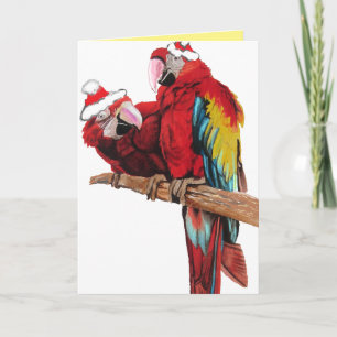 Tomte Macaws Röd Papegoja Julkort Kort
