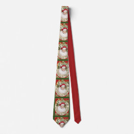 Tomte slips