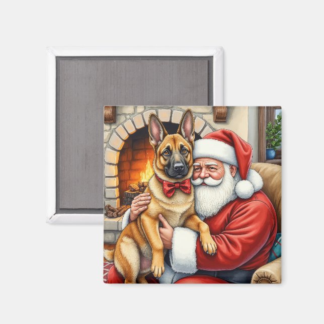 Tomte som håller belgisk malinois julkonst magnet (Front/Back)