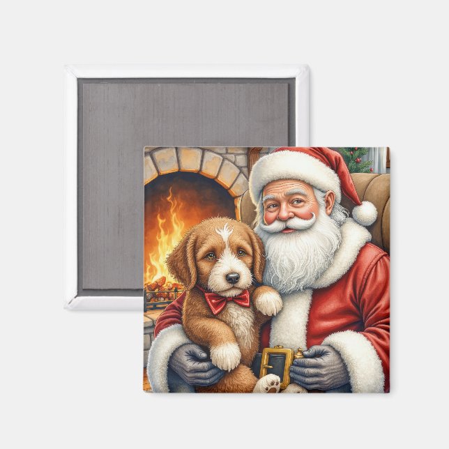 Tomte som håller Bernedoodle julkonst Magnet (Front/Back)