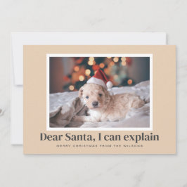 Tomten, jag kan förklara det fina fotot julkort