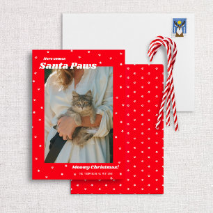 Tomten Tass Meowy jul-Helgdag-fotokort Inbjudningar