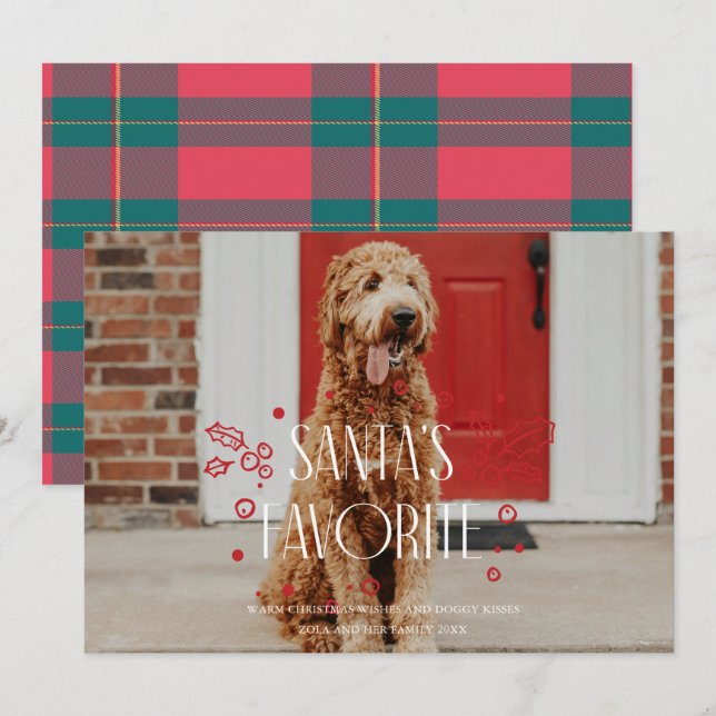 Tomtens Favorit Roliga Husdjur Foto Julkort Inbjudningar (Fram/baksida)
