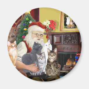 Tomtens fem katter magnet