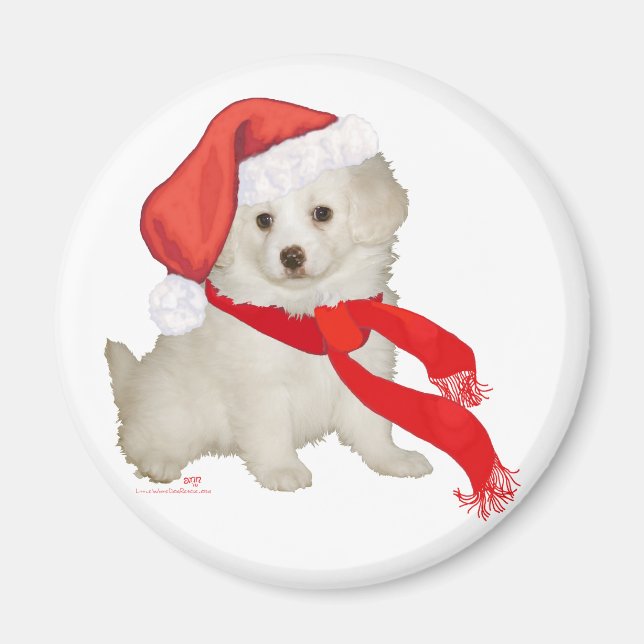 Tomtens hjälpen Puppy Pudel / Bichon Mix Magnet (Framsidan)