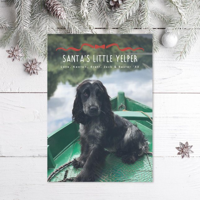 Tomtens lilla Jelper Cute Hund Julfoto Julkort (Skapare uppladdad)