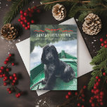 Tomtens lilla Jelper Cute Hund Julfoto Julkort<br><div class="desc">Juldpun med roligt; perfekt för valpen; välj en klippgräns och papper text,  lägg till ett meddelande eller flera foton på baksidan om du vill.</div>