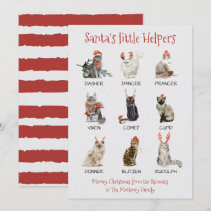 Tomtens små hjältar Cat Reindeer namn Julkort