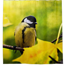 Tomtit - gift med säsong