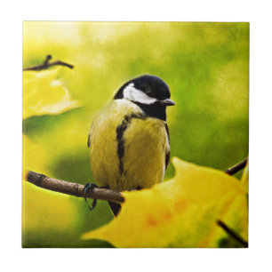 Tomtit - gift med säsong kakelplatta