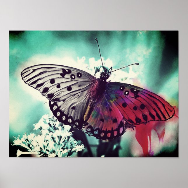 Tona Färg Poster (Framsidan)