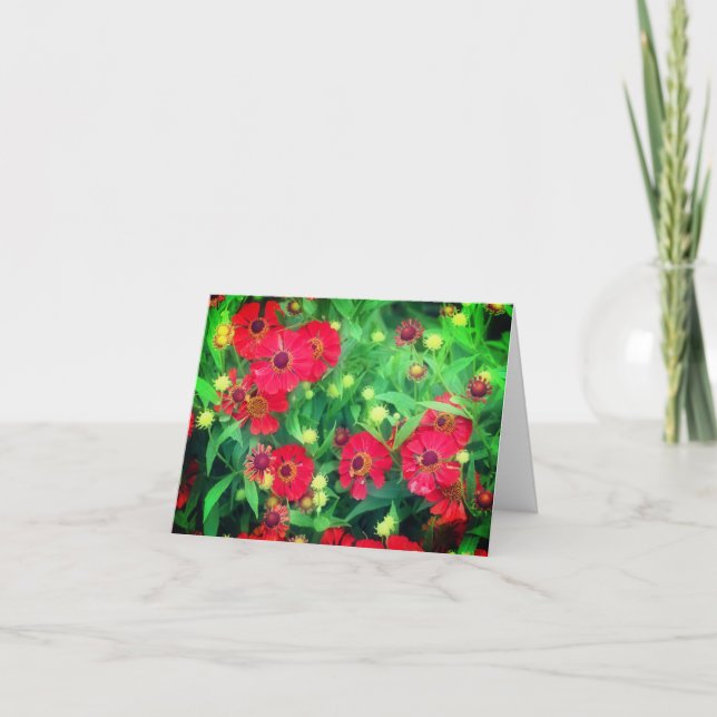 Tona rött zinnia-blommor, tomt anteckningskort (Framsida)